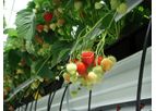 Agrotech - Grow Gutter Systems