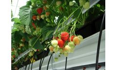 Agrotech - Grow Gutter Systems