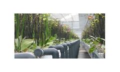 Agrotech - Turnkey Greenhouse Solutions