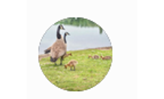 ECC - Hollow Ball Covers for Energy Savings