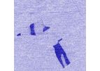 CSI - Model Nano-Observer - Atomic Force Microscope (AFM) with Controlled Environment