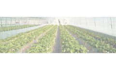 Ozonizer for agriculture and breeding farms sector