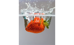 Eco-Fusion - Whole Household Water Purification Systems