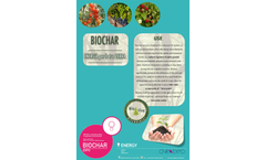 Biochar Poster