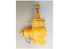 Ductile Iron Fire Hydrant Valve