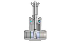 Chemar - Model DN50-DN400 - Forged High Pressure Gate Valves