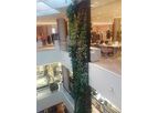 Green wall - Schaduf vertical gardens