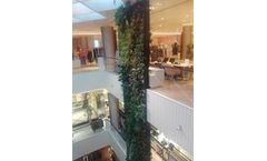 Green wall - Schaduf vertical gardens
