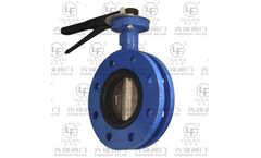 Pioneer - Model D41X - Flanged Butterfly Valve