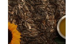 Improved seeds drying process and energy saving thanks to continuous moisture measurement - Case Study