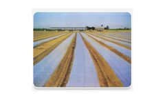 Solarization Film