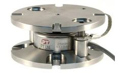 PT Limited - Vessel Weigh System