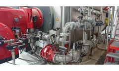 Multi-Fuel Burner Systems