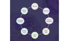 Creative Proteomics Lipidomics Launches Microbial Untargeted Lipidomics Service to Promote Your Project