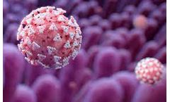 Creative Proteomics Cytokine Unveils Disease Cytokine Assays for Disease Diagnosis