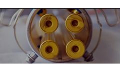 Creative Proteomics Lipidomics Launches Ceramides Analysis Service