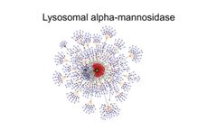 What are Host Cell Proteins and Its Effect on Biopharmaceutical Development