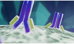 Application of Flow Cytometry in the Pharmaceutical Industry