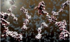 Creative Proteomics Elevates Protein Research with Innovative Crosslinking Protein Interaction Analysis Service