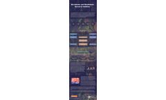 Microbiome and Metabolome Research Solutions