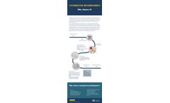 Why Choose Untargeted Metabolomics?