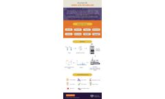 Amino Acid Metabolism
