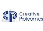 Protein-Protein Interaction Networks Services