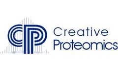 Creative Proteomics Unveils Cutting-Edge N-terminal Edman Degradation Service for Advanced Protein Sequencing