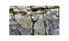Seismic borehole and surface solutions for Geophysical site characterization sector