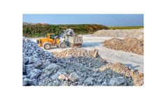 Seismic borehole and surface solutions for natural resources sector