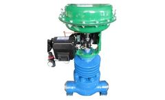 IVY - Electric Single Seat Control Valve
