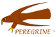 Peregrine Hawk Kites - Bird Control Systems Ltd.