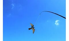 Hawk Pro - Model PER7MC - Metre Combination Kite