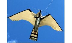 Hawk - Model 217537123517253 - Replacement Peregrine Kite