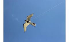 Hawk Pro - 13 Metre Double Strength Fly Line Peregrine  Kite