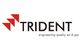 Trident Pneumatics Private Limited