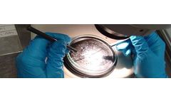 Asbestos Fibre Identification