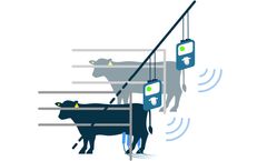 Medi Nova - Milking Parlour