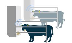 Medi Nova - Automatic Feeding Stations