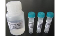 Human Chorionic Gonadotropin (HCG)
