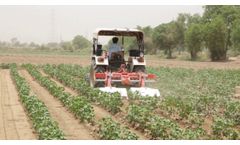 Rotary Weeder - Video