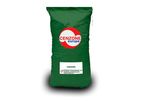 Cenzyme - Full-Spectrum Digestive Enzyme Blend