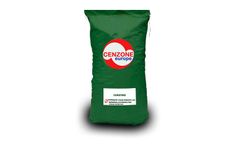 Cenzyme - Full-Spectrum Digestive Enzyme Blend
