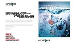 Revenue Enhancement Services Brochure