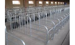 Gestation Stall