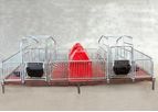 Farrowing Crate