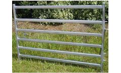 Sheep Fence
