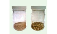 JRW - Model Chitorem - Carbon Substrate