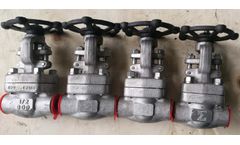 Exotica - Model GXL - Globe Valves and Control Valves