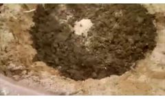 Chicken Manure Composting in China - Video